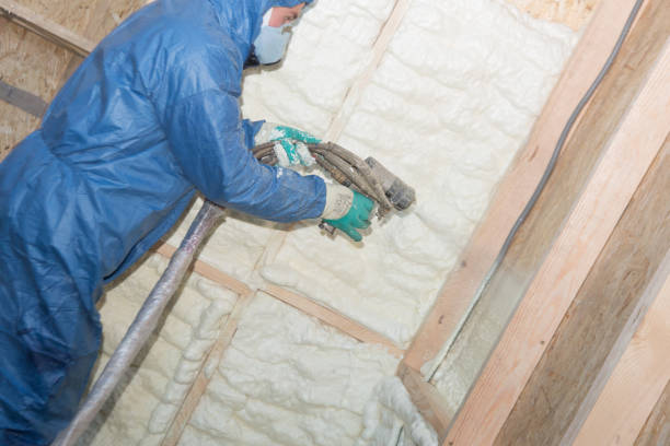 Best Eco-Friendly or Green Insulation Solutions  in Aransas Pass, TX